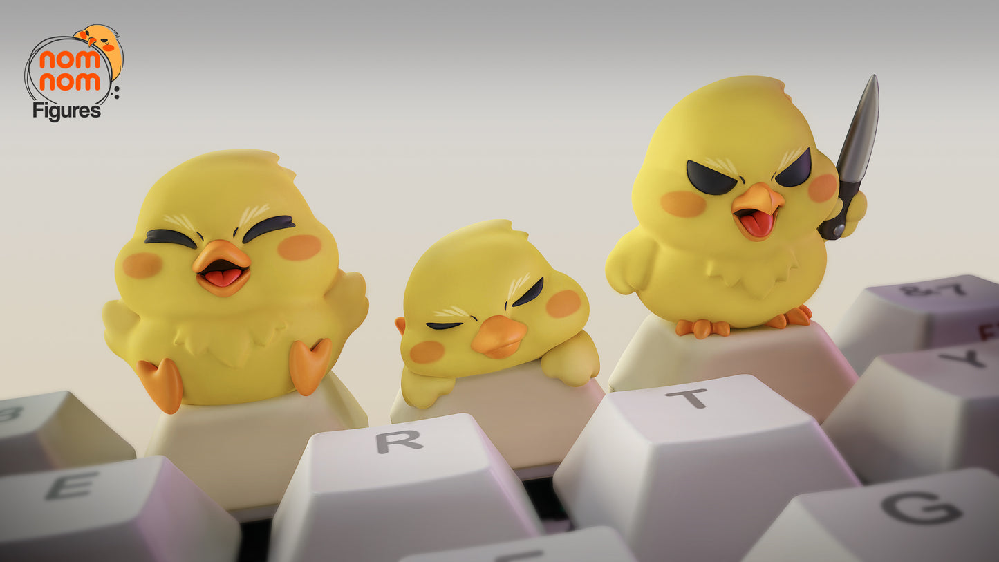 Birds