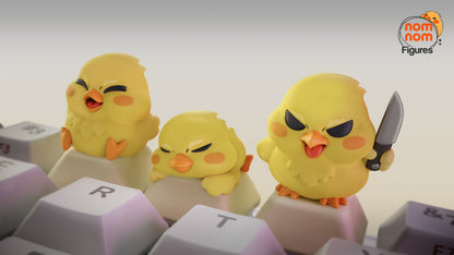 Birds