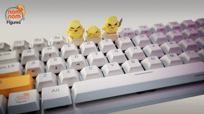 Birds