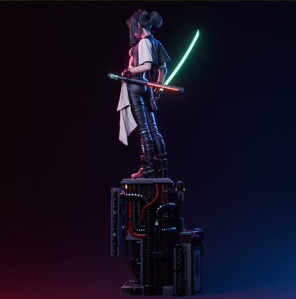 Cyber Ninja