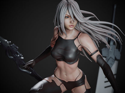 A2