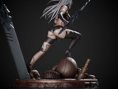 A2
