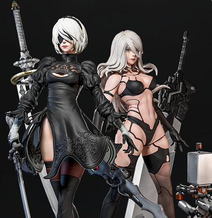 2B & A2